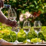wine Pouring of Pinot gridgio rose wine for tasting in winery garden